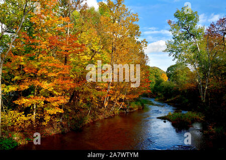 Eine Landschaft Blick entlang Trout Creek in der Nähe von Sussex New Brunswick mit der sommergrüne Baum Blätter die hellen Farben des Herbstes. Stockfoto