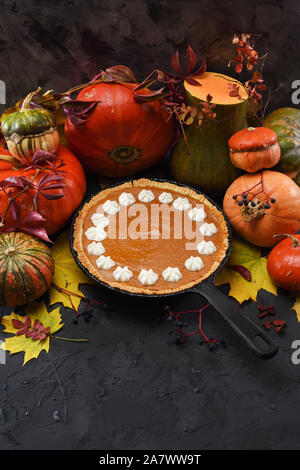 Traditionelle Thanksgiving Pumpkin Pie mit Schlagsahne in gusseisernen Pfanne mit rohen Kürbisse und Kürbisse auf schwarzem Hintergrund Kopie Raum serviert. Low Key Stockfoto