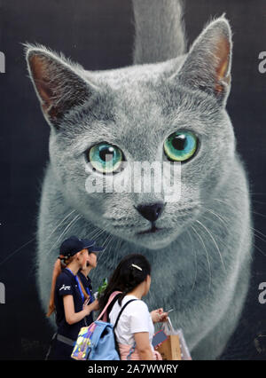 Pet-Liebhaber Herde zu sehen süße Haustiere an der Pet-Messe Asien 2019, das ist der 22. des Fairen, beginnt in Shanghai, China, 21. August 2019. *** Lokale Capti" Stockfoto