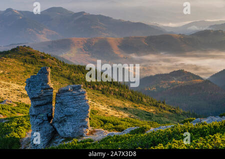 Sonnigen morgen hoch in die Berge. Grüne Hügel mit Felsen und Täler, die von Wolken und Nebel bedeckt. Stockfoto