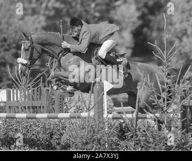 Europameisterschaften, Hickstead, August 1999 Peter Postelmans (BEL) Reiten Maloubet Stockfoto