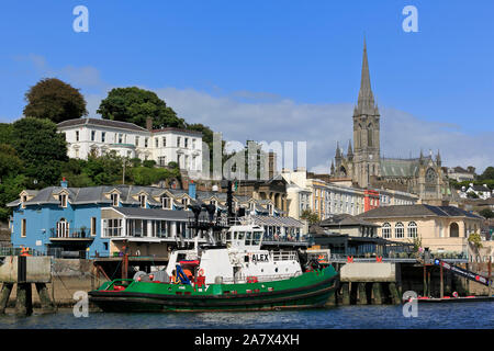 St. Colman's Cathedral, Cobh, County Cork, Irland Stockfoto