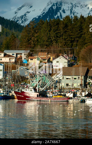 Geldbeutel-Seiner dockte an den Docks der Alaska Native Brotherhood in Sitka, Alaska, USA. Stockfoto