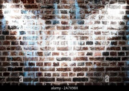 Schöne Strahler an einer alten und verwitterten Mauer glänzend Stockfoto