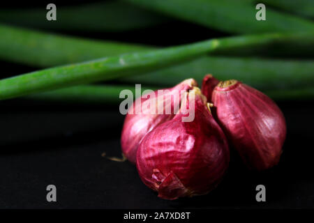 Rote Zwiebeln auf schwarzem Hintergrund isoliert. Stockfoto