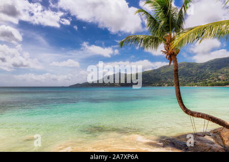 Sonnigen Strand mit Palmen und türkisfarbenes Meer Stockfoto