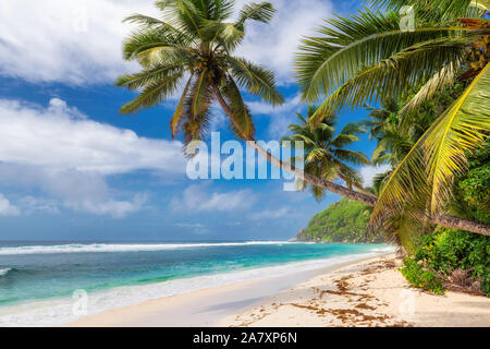 tropischer Strand Hintergrund Stockfoto