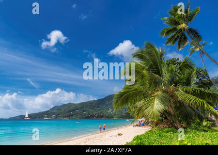 Berühmte Beau Vallon Strand mit Kokosnuss Palmen auf der Insel Mahe, Seychellen. Stockfoto