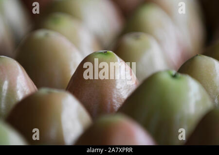 Grüne Rose apple Obst in einem Bündel auf Display auf dem Markt in der Nähe von tropischen Früchten Stockfoto