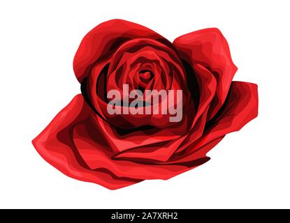 Rose Hand zeichnen und gefärbt. Eine blühende Rose. Vector Illustration. Stock Vektor