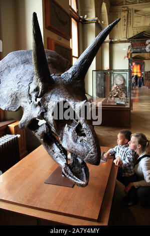 Mutter mit Kind schaut in den Schädel eines Triceratops Dinosaurier zu einem National History Museum in Europa Stockfoto