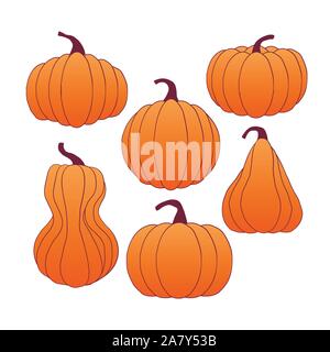 Satz von Hand gezeichnet Kürbis Vector Illustration Stock Vektor