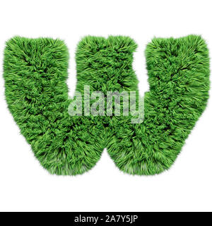 Gras Alphabet, Buchstabe w. Auf weiß 3D Illustration isoliert. Stockfoto