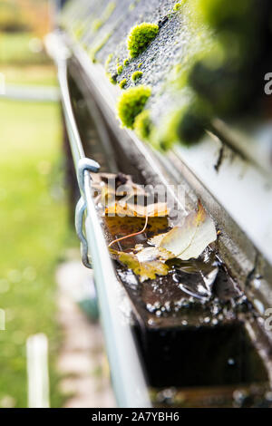 Regenrinnenreinigungskonzept, viel Herbstblätter in Metallrinne. Stockfoto