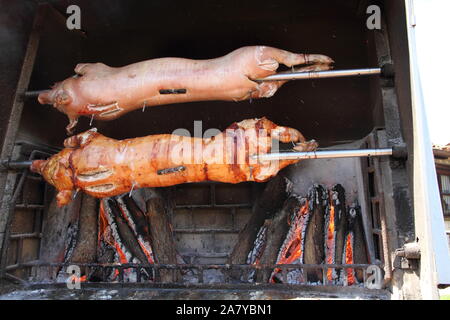 Zwei Spanferkel auf dem Grill Stockfoto