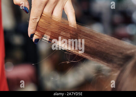 Friseur die Haare Abschnitt der weiblichen Client den Spliss zu schneiden Stockfoto