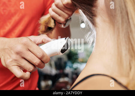 Nahaufnahme der Friseur rasieren Haar im Nacken der weiblichen Klienten mit Elektrorasierer Stockfoto