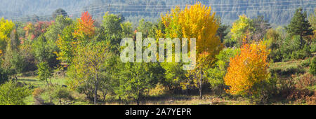 Bunter Herbst panorama Hintergrund mit bunten Grün, Rot und Gelb, Bäume, Pinien und Berge Stockfoto