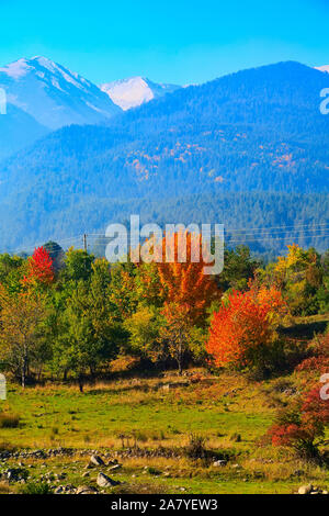 Herbst panorama Hintergrund des Pirin, Bulgarien mit bunten Grün, Rot und Gelb Bäume und Berge Gipfel Stockfoto