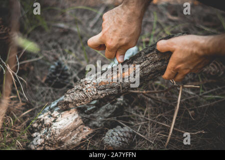 Hände von einem Mann halten und schneiden Holz mit Messer. Close-up-Bild in den Wäldern. Stockfoto