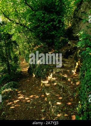 Colomendy Halle und Park, Pfad durch den Wald und bis zu Rocky Knoll Teil C 19 angelegten Park & informelle Garten westlich von Haus. Stockfoto