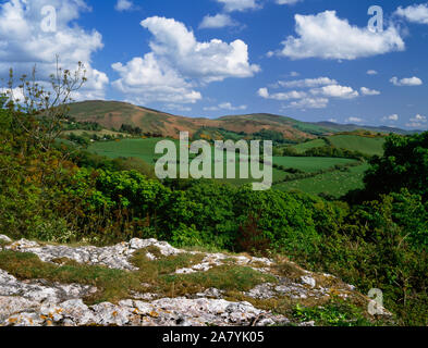 Blick nach Süden östlich von Graig Naturschutzgebiet zu Penycloddiau und Moel Famau auf dem Grat der Clwydian Hügel Hügel. Tremeirchion, Denbighshire, North Wales Stockfoto