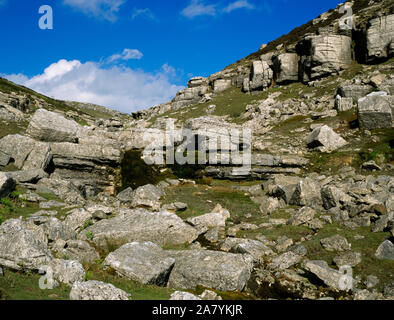 Ely Eglwyseg, Llangollen, Aus in der Nähe von Rock Farm. Ein kleiner Bach fließt aus dem Moor durch dramatische Aufschlusses von Karbon Kalkstein. Stockfoto