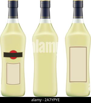 Flasche Wermut Martini auf weißem Hintergrund Vektor Stock Vektor