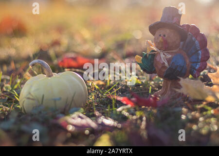 Thanksgiving Konzept mit der Türkei Kürbisse und Blätter in warmen Sonne. Herbst Szene Hintergrund. Stockfoto