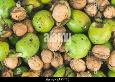 Frisch gepflückte Reif raw Walnüsse geschält. Full Frame Foto Stockfoto