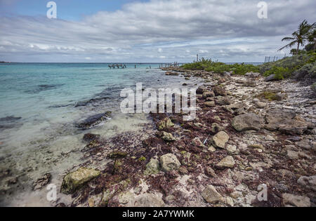 Natürliche Panorama der Xpu-Ha Strand Stockfoto