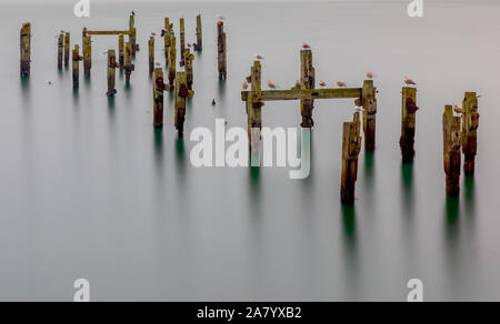 Swanage, Dorset England lange Exposition der rungen der alte Pier, die aus dem ruhigen Wasser Stockfoto