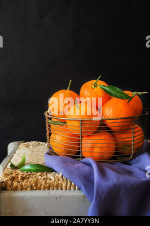 Einige Clementinen, in einem metellic Warenkorb auf schwarzem Hintergrund Stockfoto