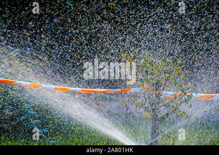 Wasser sprühen aus einem Sprinkler Stockfoto