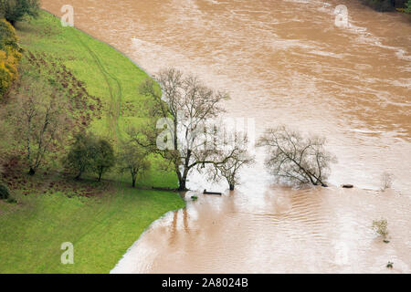 Der Fluss Wye in der Flut am 28.10.2019 von Symonds Yat Rock, Herefordshire UK gesehen - die Überschwemmung wurde aufgrund der starken Regen in Wales. Stockfoto