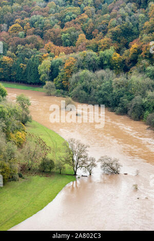 Der Fluss Wye in der Flut am 28.10.2019 von Symonds Yat Rock, Herefordshire UK gesehen - die Überschwemmung wurde aufgrund der starken Regen in Wales. Stockfoto