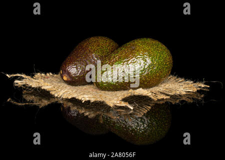 Gruppe von zwei ganze Frische grüne Avocado auf natürliche Sack auf schwarzem Glas isoliert Stockfoto