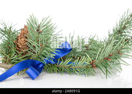 Menge ganze Weihnachten grünen Zweig mit Blue Ribbon auf weißem Hintergrund Fichte Stockfoto