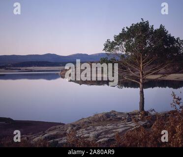 Quebrada La CUERDA DEL POZO - VISTA DEL STAUSEE CON PINO. Lage: EMBALSE DE LA CUERDA DEL POZO. PROVINCIA. Soria. Spanien. Stockfoto