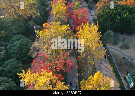 Nanjing. 5 Nov, 2019. Luftaufnahme auf Nov. 5, 2019 zeigt die Landschaft der kaiserlichen Xiaoling Mausoleum, die Grabstätte von der Ming Dynastie (1368-1644) Gründung Kaiser Zhu Yuanzhang, Nanjing, die Hauptstadt der Provinz Jiangsu im Osten Chinas. Credit: Li Bo/Xinhua/Alamy leben Nachrichten Stockfoto