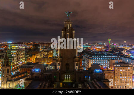 Liverpool und Liverbird Gebäude bei Nacht. Stockfoto