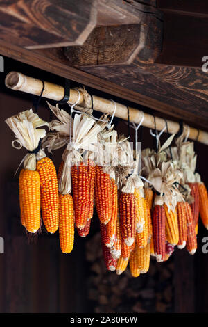 In der Nähe von maiskolben über eine inländische Tor in Kurokawa, Japan Stockfoto