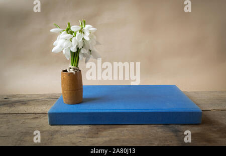 Blumenstrauß aus Schneeglöckchen und alten blauen Buch auf Holztisch. Stockfoto