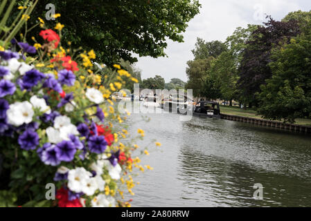 Die Mulden der Blumen entlang St Helen's Wharf neben der Themse in Abingdon-on-Thames, einer historischen Stadt in South Oxfordshire in Großbritannien. Sai Stockfoto