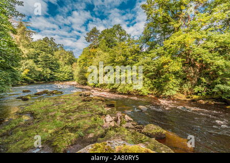 Teesdale Landschaft, den Fluss T-Stücke von den Teesdale Weg lange Strecke Fußweg zwischen Cotherstone und Romaldkirk, County Durham, UK Stockfoto