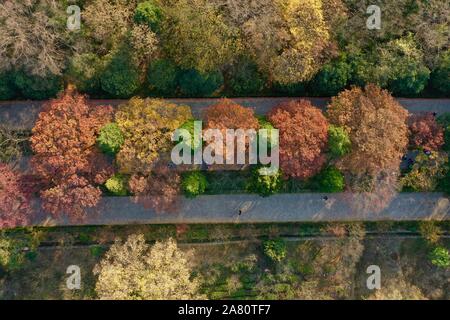 Nanjing. 5 Nov, 2019. Luftaufnahme auf Nov. 5, 2019 zeigt die Landschaft der kaiserlichen Xiaoling Mausoleum, die Grabstätte von der Ming Dynastie (1368-1644) Gründung Kaiser Zhu Yuanzhang, Nanjing, die Hauptstadt der Provinz Jiangsu im Osten Chinas. Credit: Li Bo/Xinhua/Alamy leben Nachrichten Stockfoto