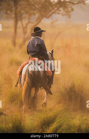 Eine pantaneiro (Cowboy aus dem Pantanal) ein Pferd reiten Stockfoto