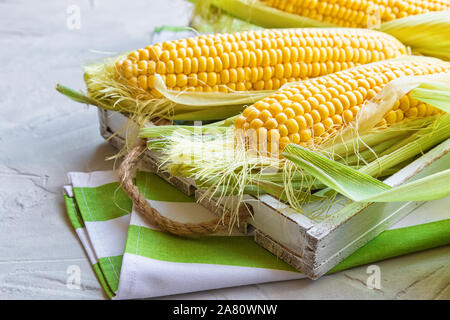 Frischer Mais, Maiskolben mit rustikalen Holzmöbeln fach Hellgrau konkreten Hintergrund. Stockfoto