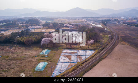 Luftaufnahme in Gyeongju Cherry Fastival, Südkorea Stockfoto
