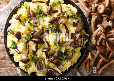 Rustikales essen Waldpilzen Honig Pilz mit Kartoffelpüree close-up in einen Teller mit den Zutaten auf den Tisch. Horizontal oben Ansicht von oben Stockfoto